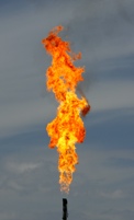 A natural gas flare
