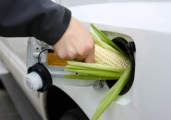 US lowers biofuels mandate for 2014, draws praise and ire