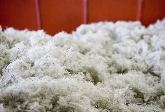 Polyester fibres 