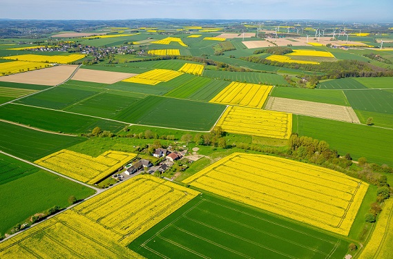 Agricultural fields in North Rhine-Westphalia, Germany